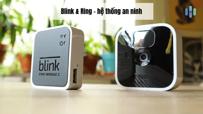Amazon Blink and Ring